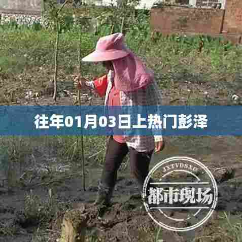 彭泽话题持续火热，历年一月三日上榜揭秘