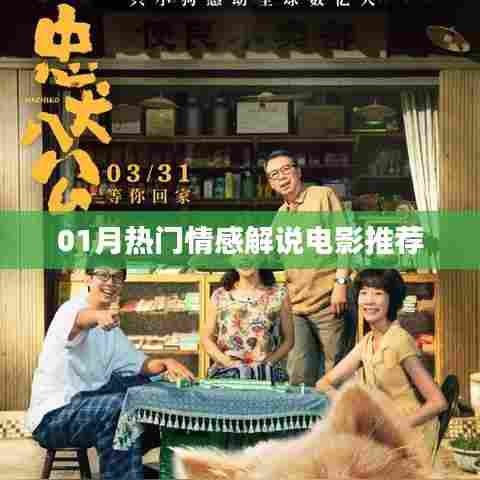 情感电影推荐,热门解说榜单出炉