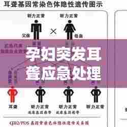 孕妇突发耳聋应急处理指南,专业建议与应对方法