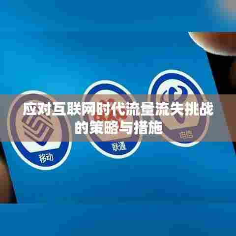 应对互联网时代流量流失挑战的策略与措施