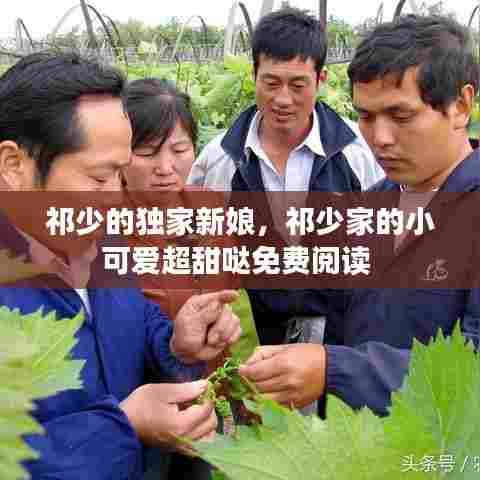 祁少的独家新娘，祁少家的小可爱超甜哒免费阅读 