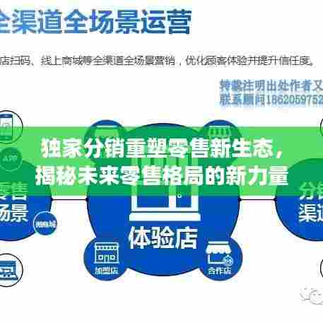 独家分销重塑零售新生态,揭秘未来零售格局的新力量