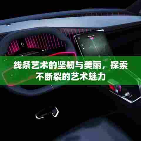 线条艺术的坚韧与美丽,探索不断裂的艺术魅力