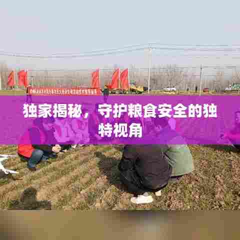独家揭秘,守护粮食安全的独特视角