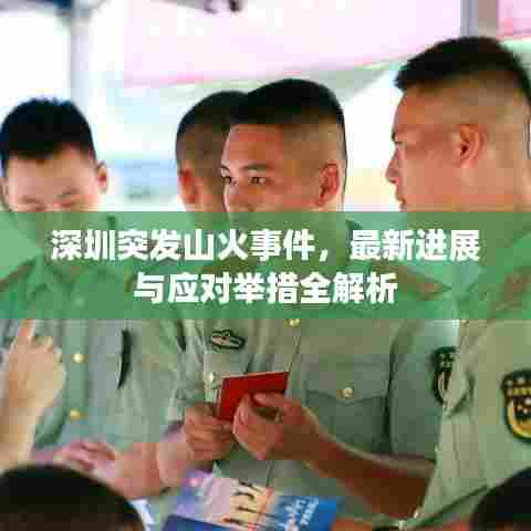 深圳突发山火事件,最新进展与应对举措全解析