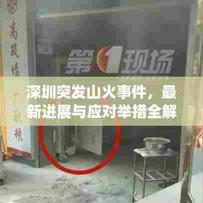 深圳突发山火事件，最新进展与应对举措全解析