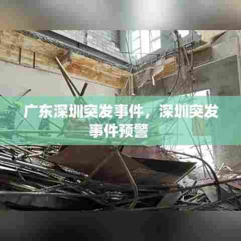 广东深圳突发事件,深圳突发事件预警