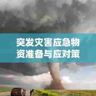 自作主张 第7页