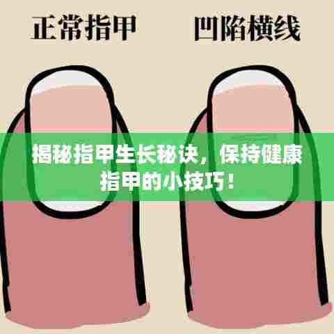 揭秘指甲生长秘诀,保持健康指甲的小技巧!
