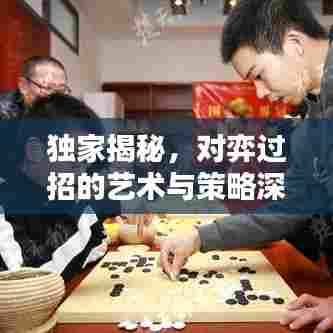独家揭秘,对弈过招的艺术与策略深度解析视频
