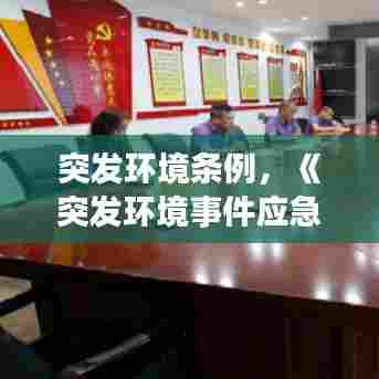 突发环境条例，《突发环境事件应急管理办法》第38条 