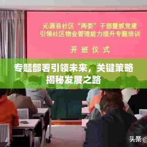 专题部署引领未来，关键策略揭秘发展之路
