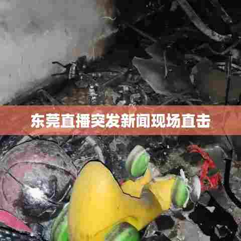 东莞直播突发新闻现场直击
