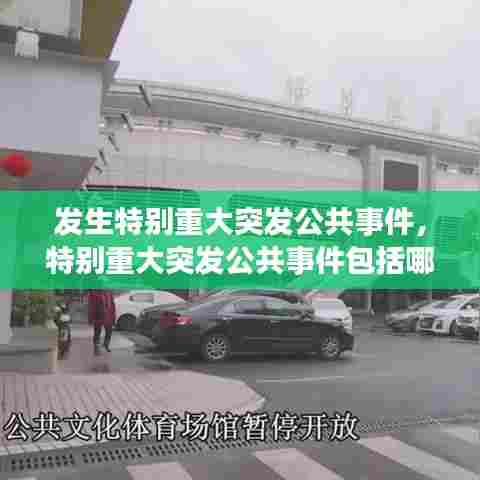 发生特别重大突发公共事件,特别重大突发公共事件包括哪些