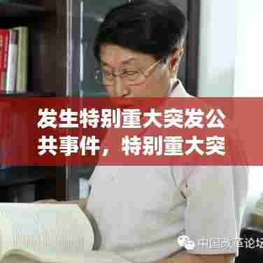 发生特别重大突发公共事件,特别重大突发公共事件包括哪些