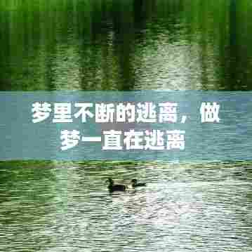 梦里不断的逃离,做梦一直在逃离