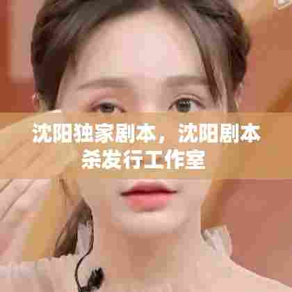 沈阳独家剧本，沈阳剧本杀发行工作室 