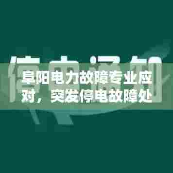 阜阳电力故障专业应对,突发停电故障处理,保障城市稳定供电