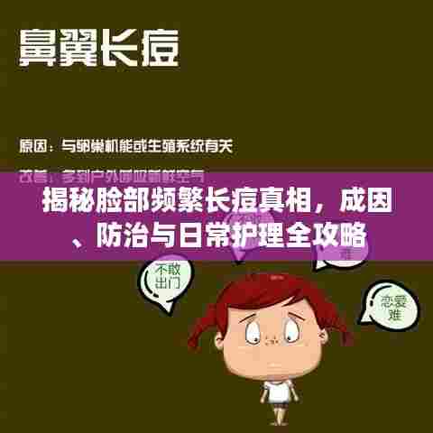 揭秘脸部频繁长痘真相,成因、防治与日常护理全攻略