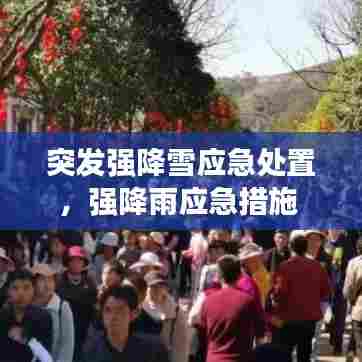 突发强降雪应急处置，强降雨应急措施 