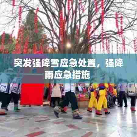 突发强降雪应急处置,强降雨应急措施