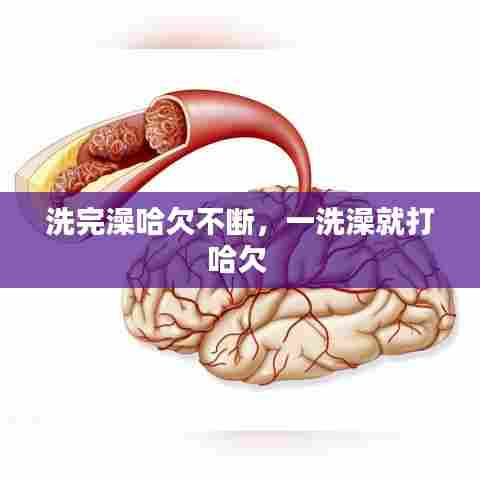 洗完澡哈欠不断,一洗澡就打哈欠