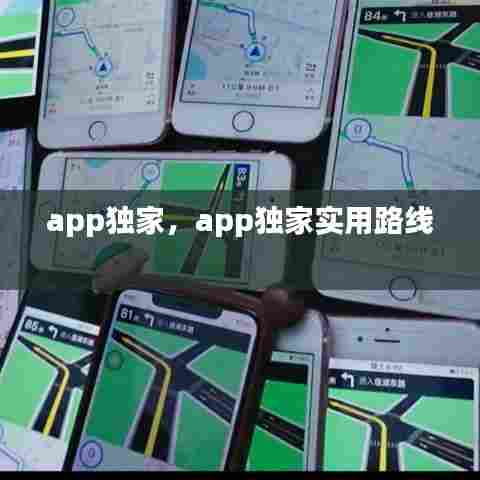 app独家,app独家实用路线