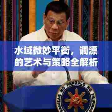 水域微妙平衡，调漂的艺术与策略全解析