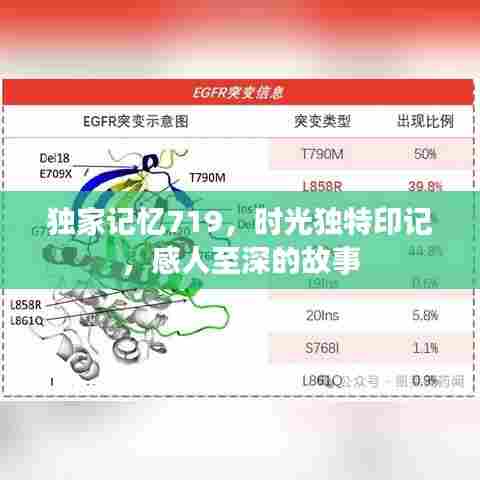 独家记忆719,时光独特印记,感人至深的故事
