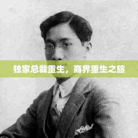 独家总裁重生，商界重生之旅