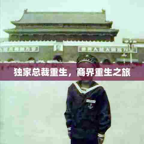 独家总裁重生,商界重生之旅