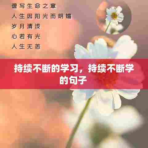 持续不断的学习,持续不断学的句子