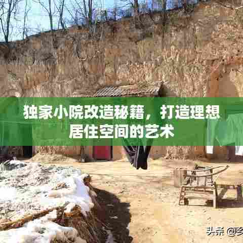 独家小院改造秘籍，打造理想居住空间的艺术