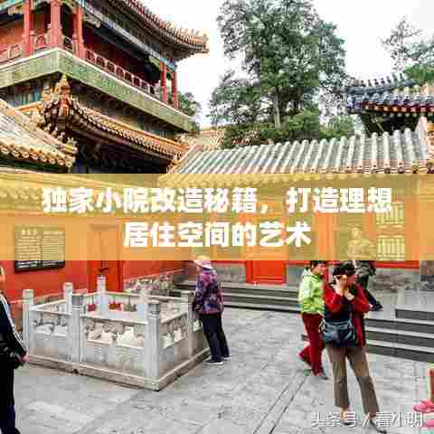独家小院改造秘籍,打造理想居住空间的艺术