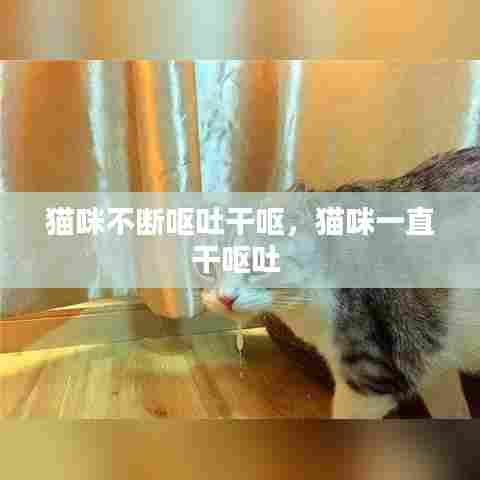 猫咪不断呕吐干呕，猫咪一直干呕吐 