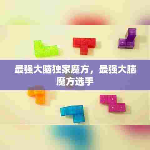 最强大脑独家魔方,最强大脑 魔方选手