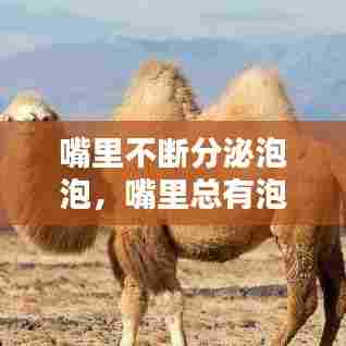 嘴里不断分泌泡泡，嘴里总有泡泡 