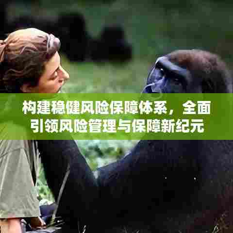 构建稳健风险保障体系，全面引领风险管理与保障新纪元