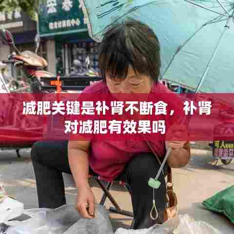 减肥关键是补肾不断食，补肾对减肥有效果吗 