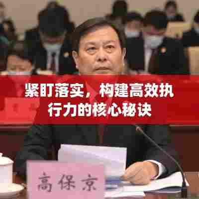 紧盯落实，构建高效执行力的核心秘诀