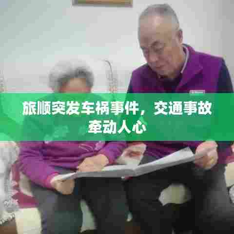 旅顺突发车祸事件,交通事故牵动人心