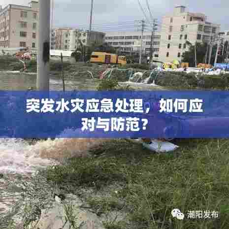 落落大方 第6页