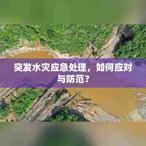 突发水灾应急处理,如何应对与防范?
