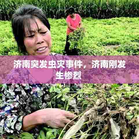 济南突发虫灾事件,济南刚发生惨烈