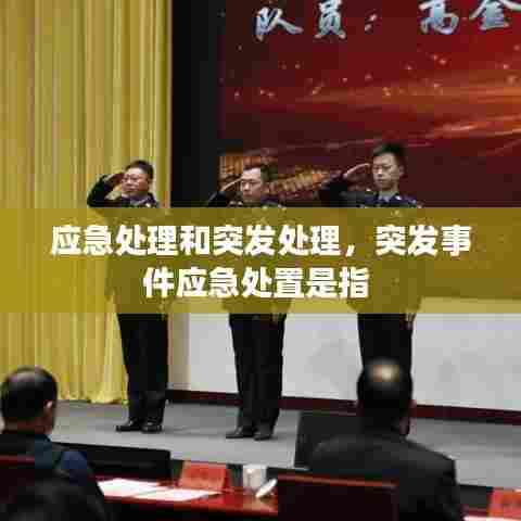 应急处理和突发处理，突发事件应急处置是指 