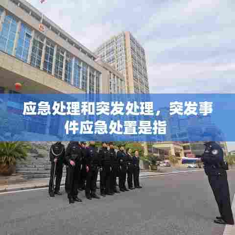 应急处理和突发处理,突发事件应急处置是指