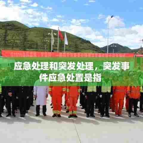 应急处理和突发处理,突发事件应急处置是指