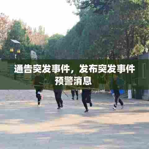 通告突发事件，发布突发事件预警消息 