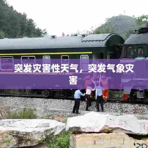 突发灾害性天气，突发气象灾害 