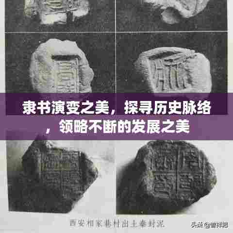 隶书演变之美,探寻历史脉络,领略不断的发展之美